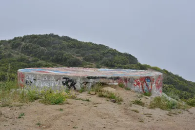 DSC_6884 (Large).JPG